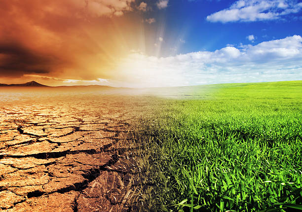 India's Climate Minister Just Revealed the Real Plan for Green Living